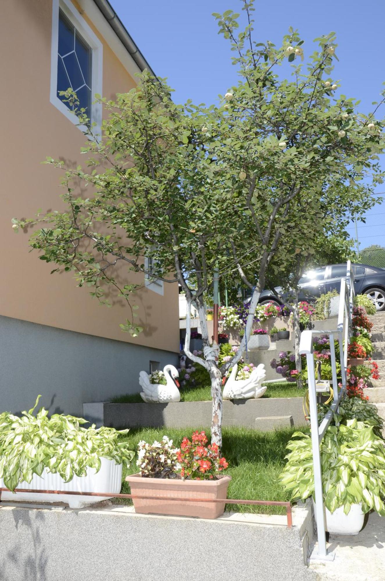 Apartments Lilly - Studio ริเยกา ภายนอก รูปภาพ