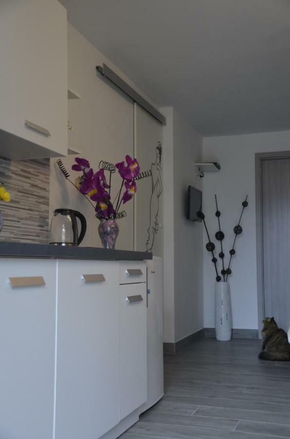 Apartments Lilly - Studio ริเยกา ภายนอก รูปภาพ